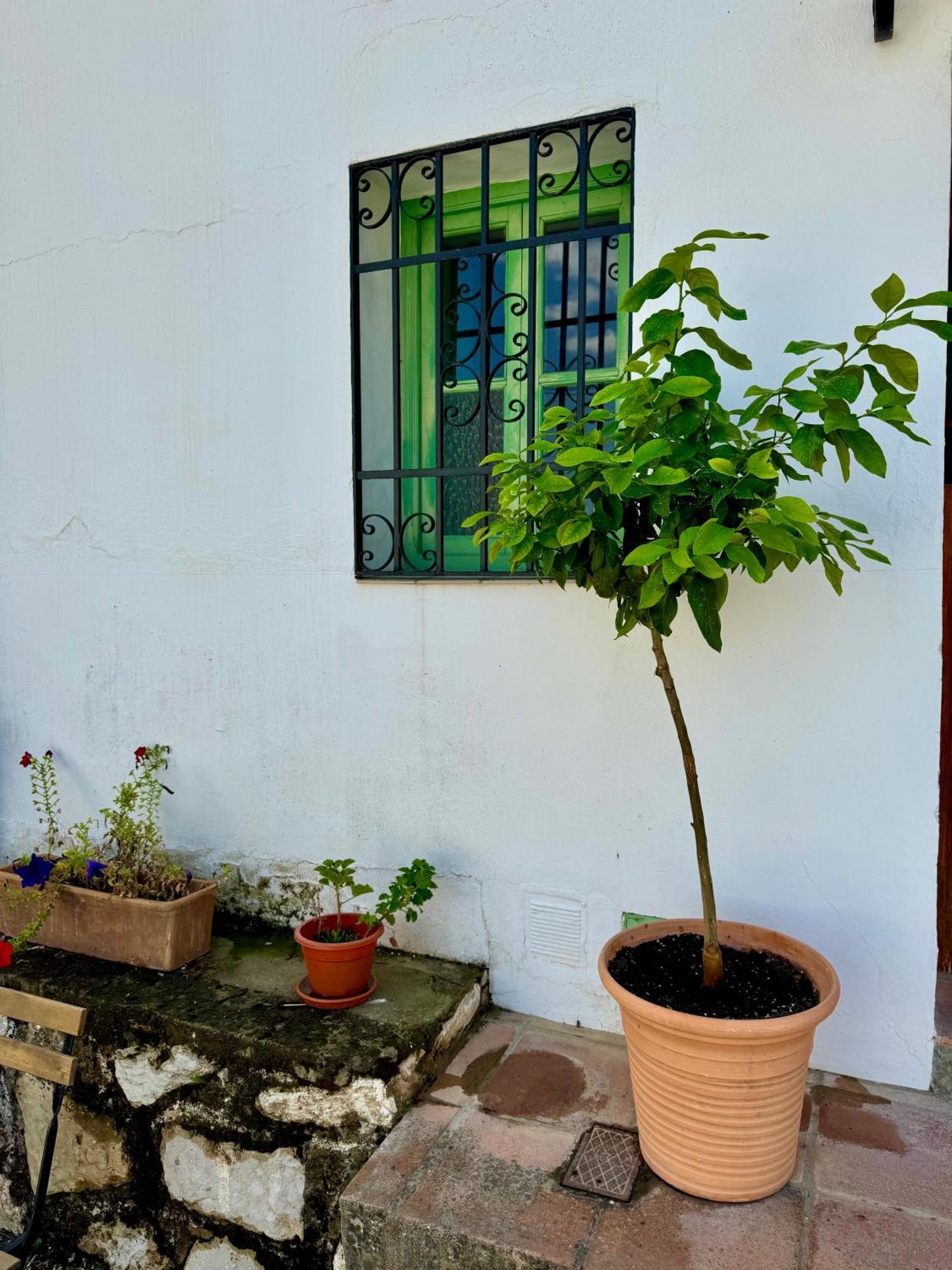 Villa Casa Leon à Montejaque Extérieur photo